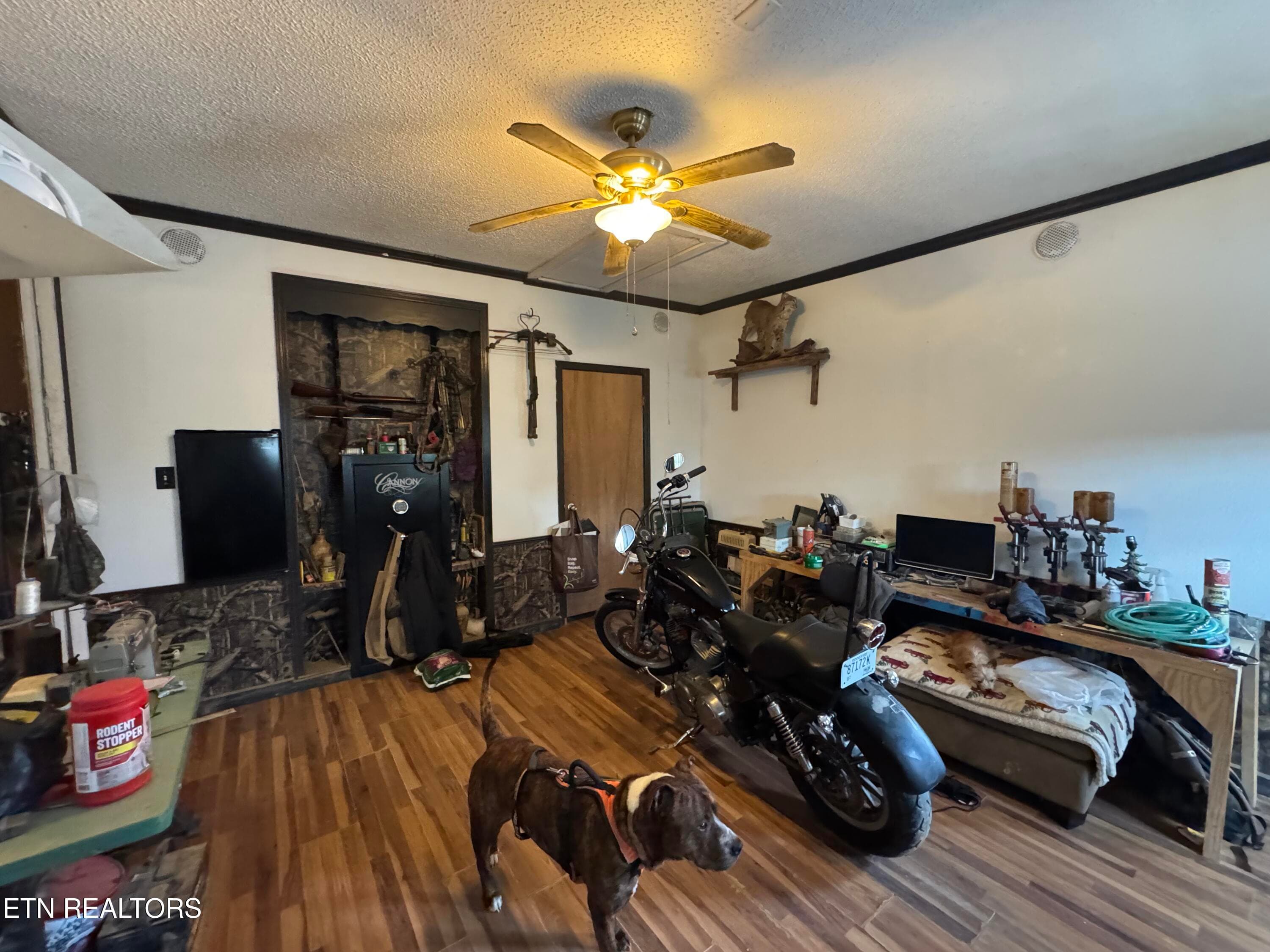 IMG_3138 - 2502 Huntsville Hill Rd, Helenwood, TN 37755