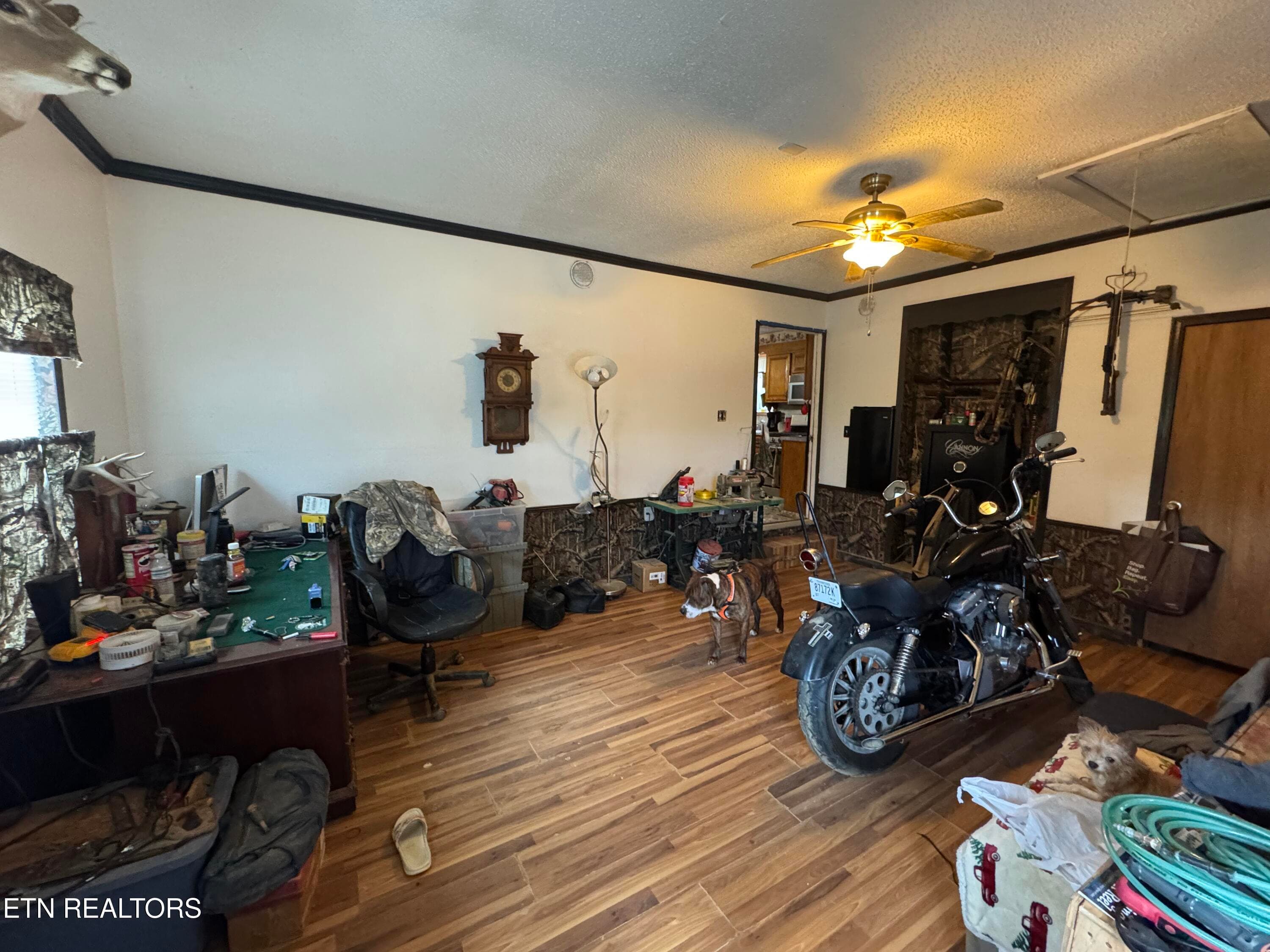 IMG_3139 - 2502 Huntsville Hill Rd, Helenwood, TN 37755