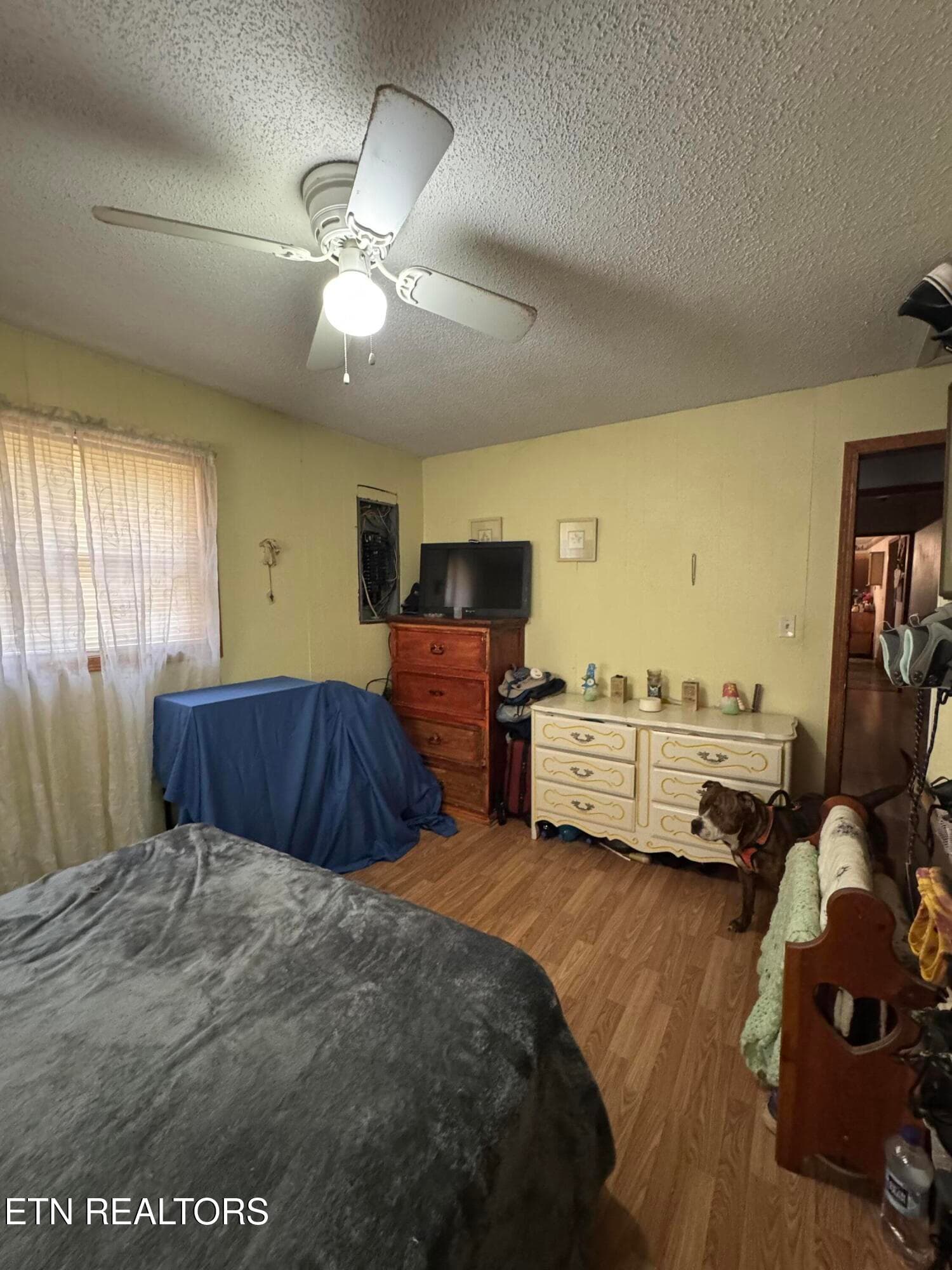 IMG_3144 - 2502 Huntsville Hill Rd, Helenwood, TN 37755