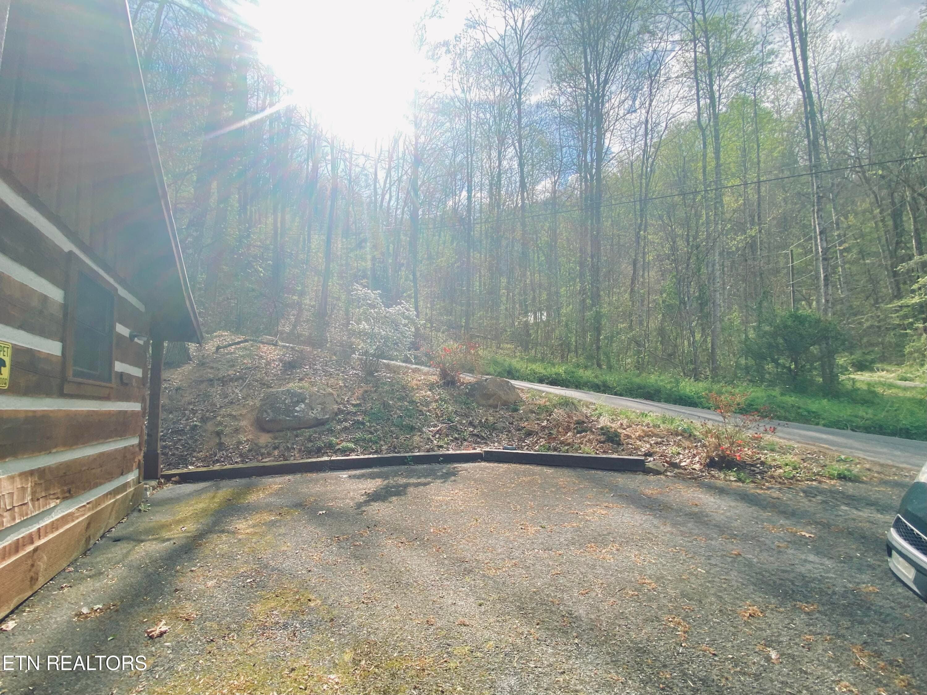 IMG_5885 - 2601 Black Bear Lane, Sevierville, TN 37876