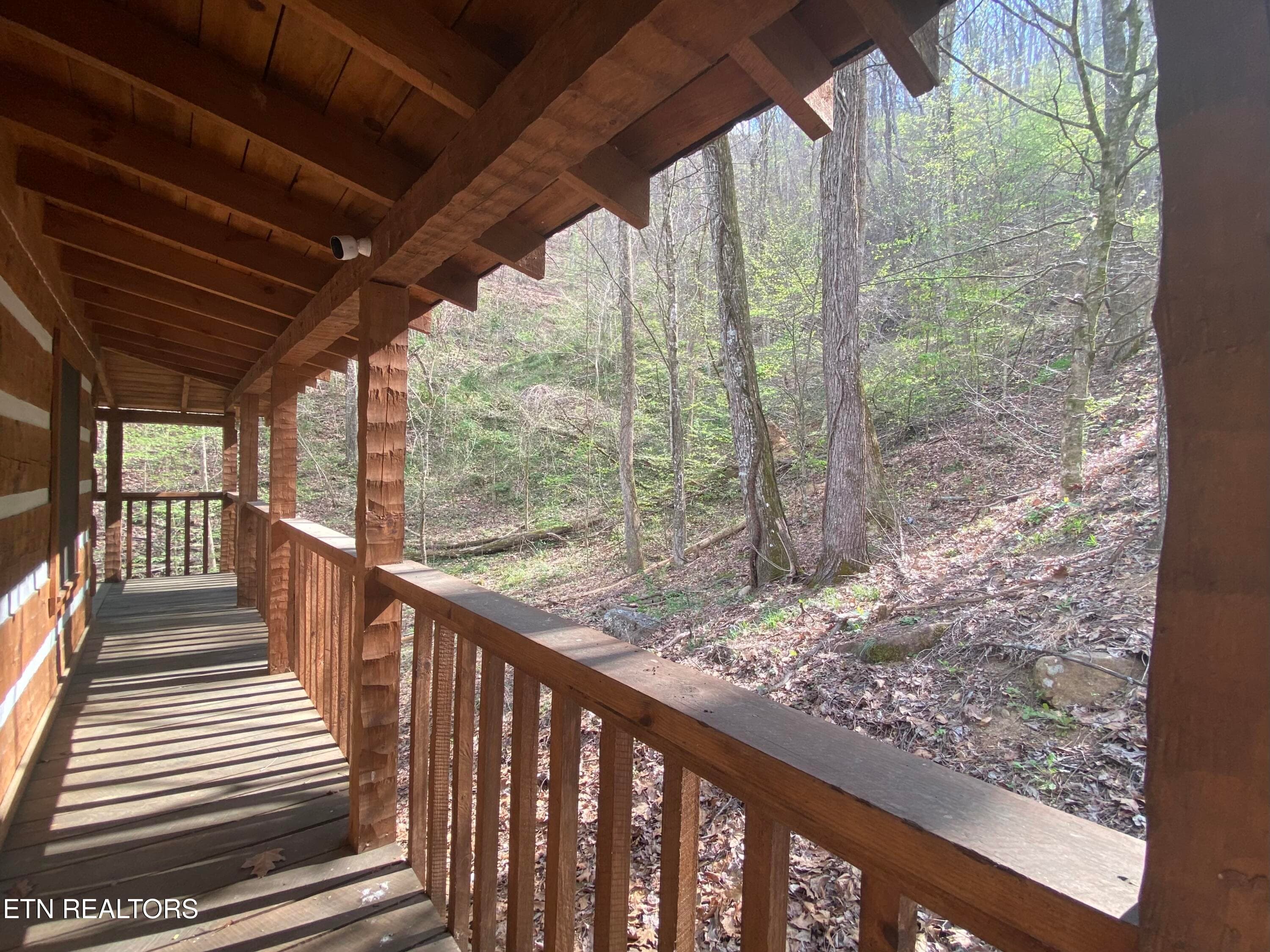 IMG_5888 - 2601 Black Bear Lane, Sevierville, TN 37876