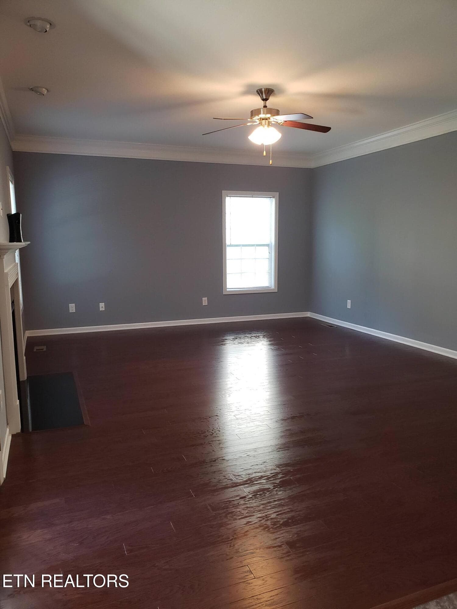 living room - 5901 Apple Valley Drive, Knoxville, TN 37924, Knoxville
