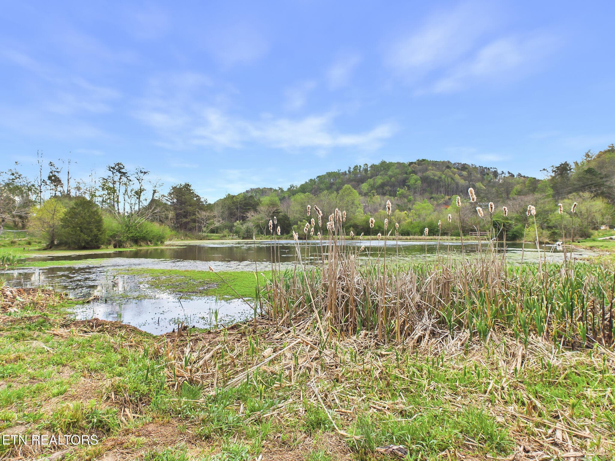 56-056 - 1483 Reagan Valley Rd, Tellico Plains, TN 37385