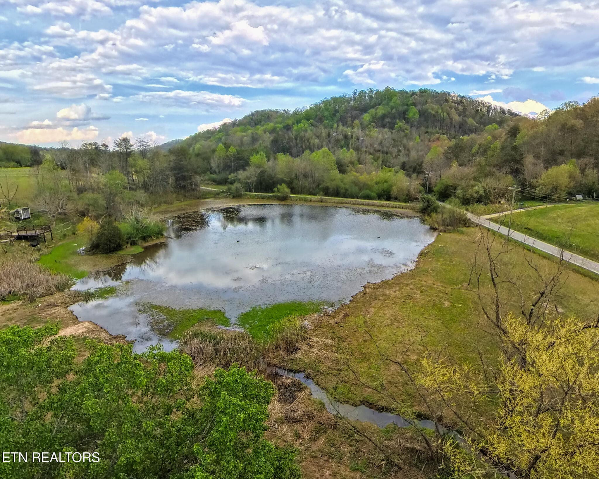 65-Aerial_008 - 1483 Reagan Valley Rd, Tellico Plains, TN 37385
