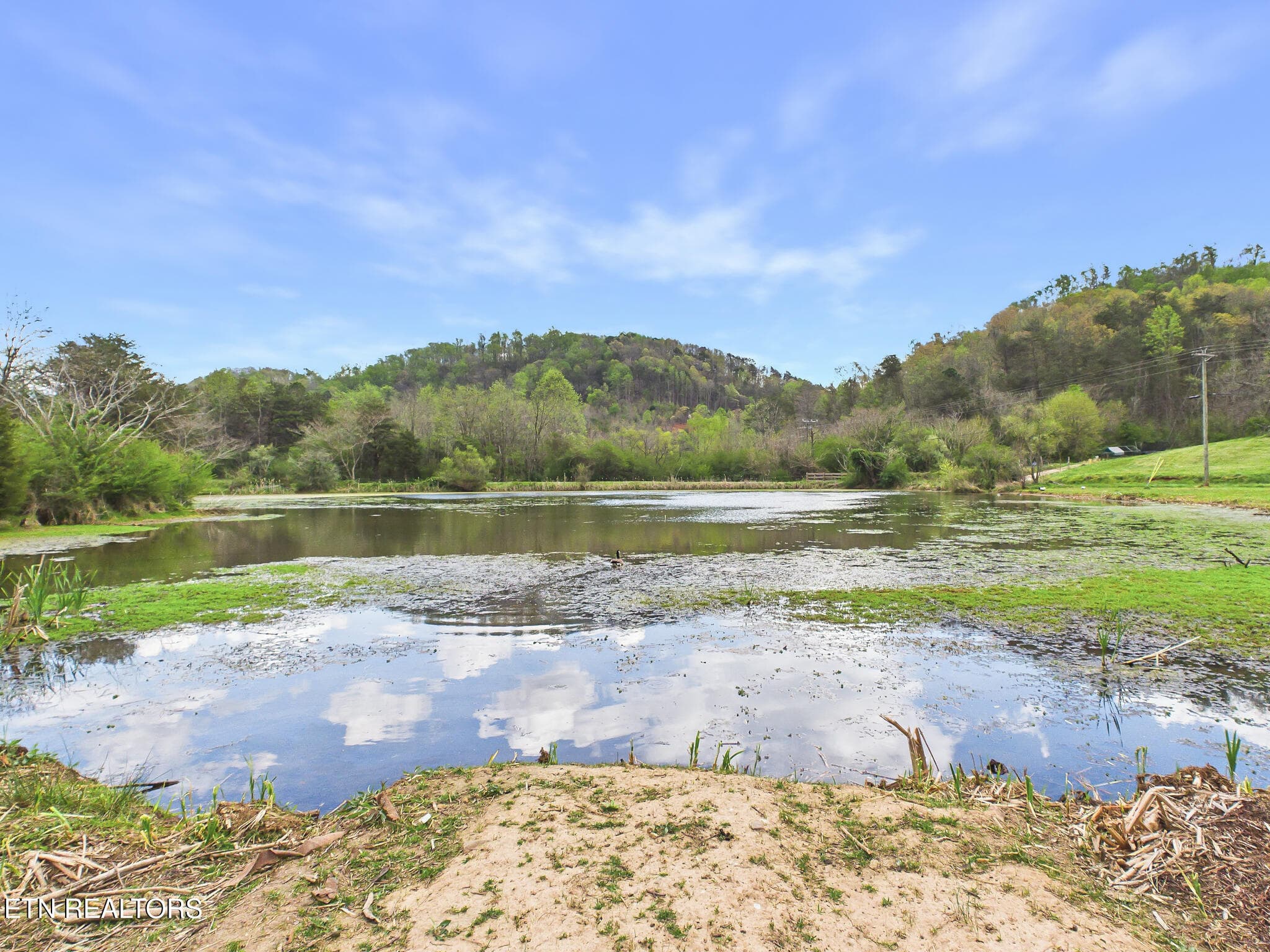 06-006 - 1483 Reagan Valley Rd, Tellico Plains, TN 37385