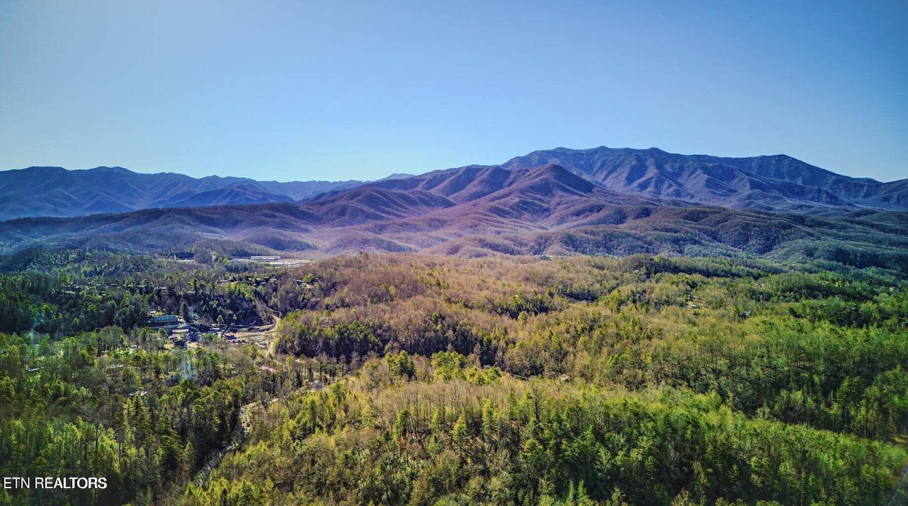 1614-31 - 1614 Lake Drive, Gatlinburg, TN 37738, Gatlinburg