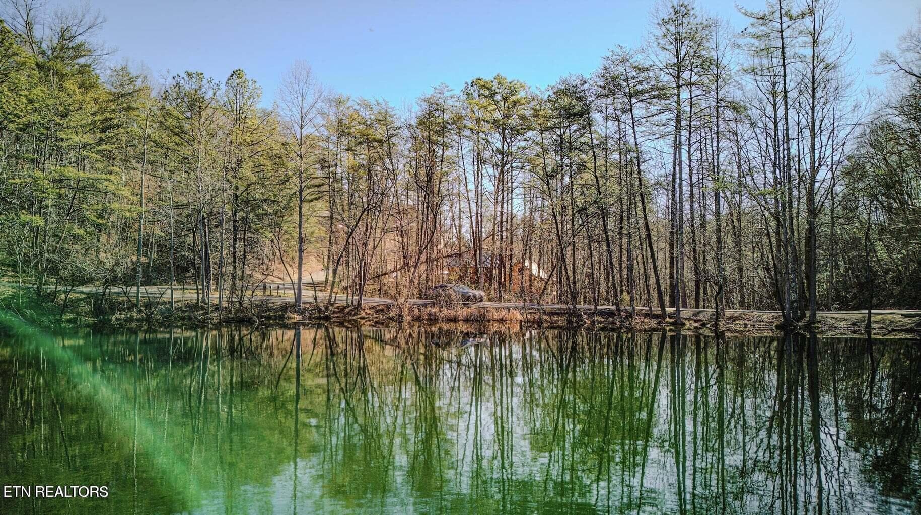 1614-29 - 1614 Lake Drive, Gatlinburg, TN 37738, Gatlinburg