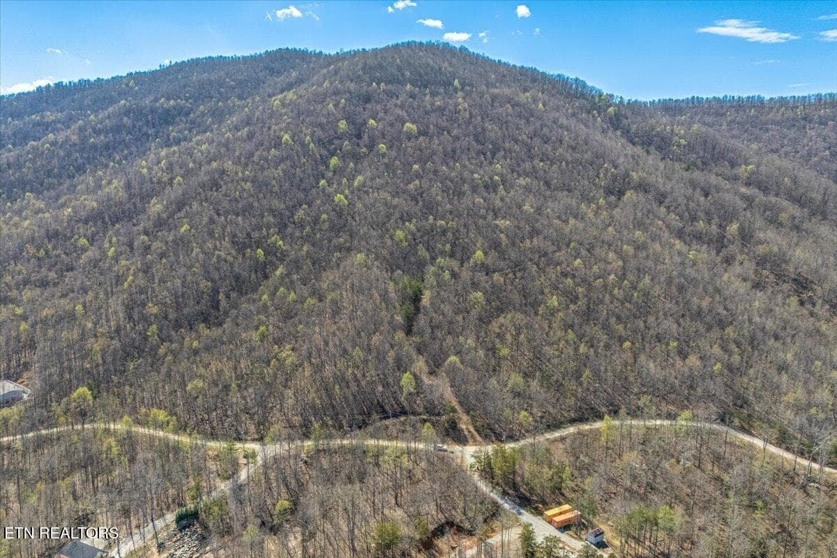 02-Lot Line A2 - 422 Crooked Branch Rd, Huntsville, TN 37756