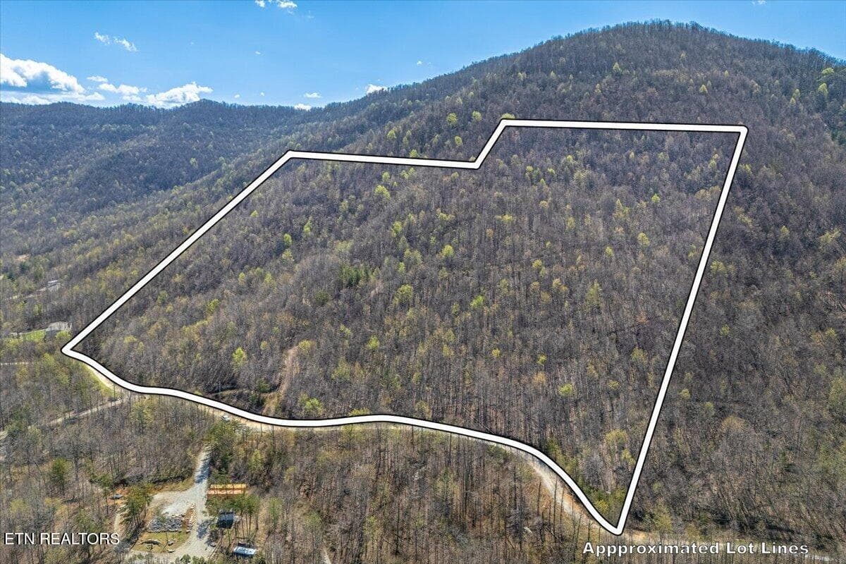 03-Lot Line A3 - 422 Crooked Branch Rd, Huntsville, TN 37756