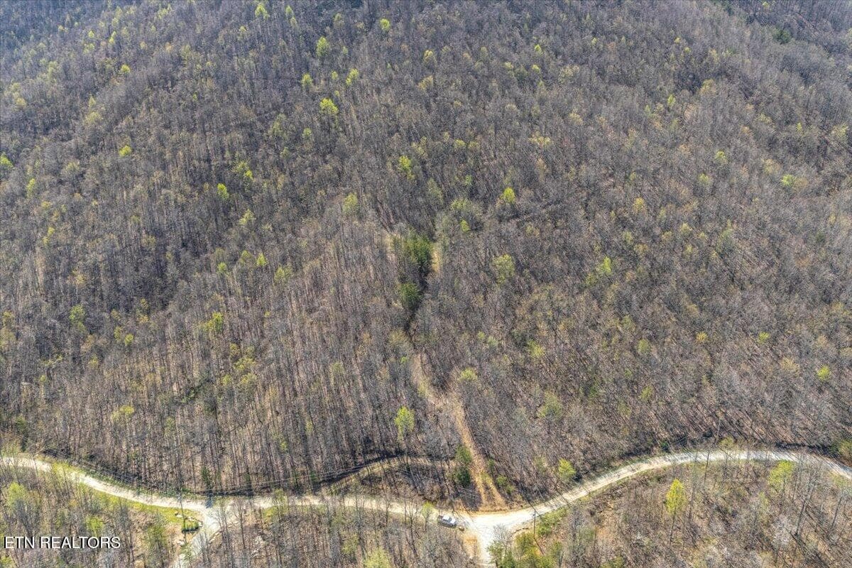 21-Entrance A1 - 422 Crooked Branch Rd, Huntsville, TN 37756