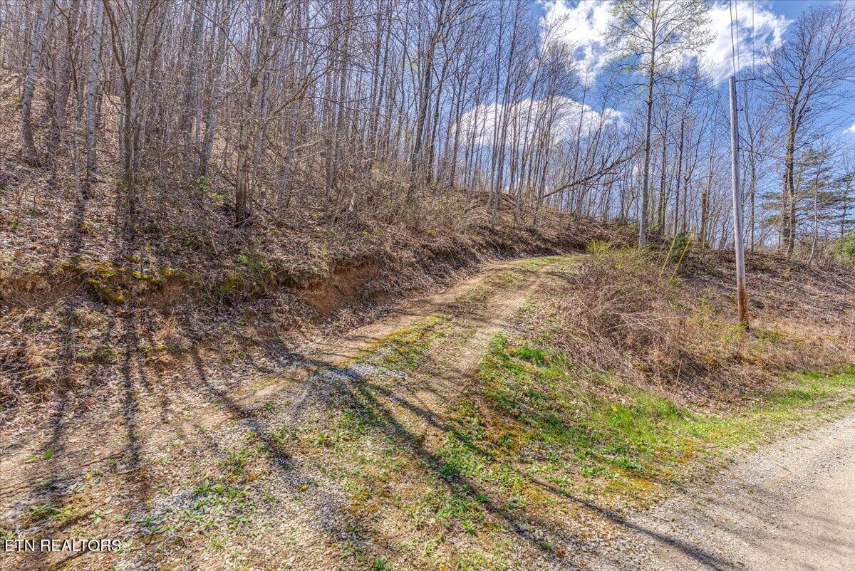26-Entrance A1 - 422 Crooked Branch Rd, Huntsville, TN 37756