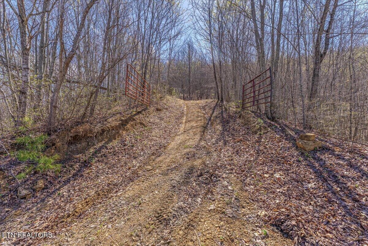27-Entrance A2 - 422 Crooked Branch Rd, Huntsville, TN 37756