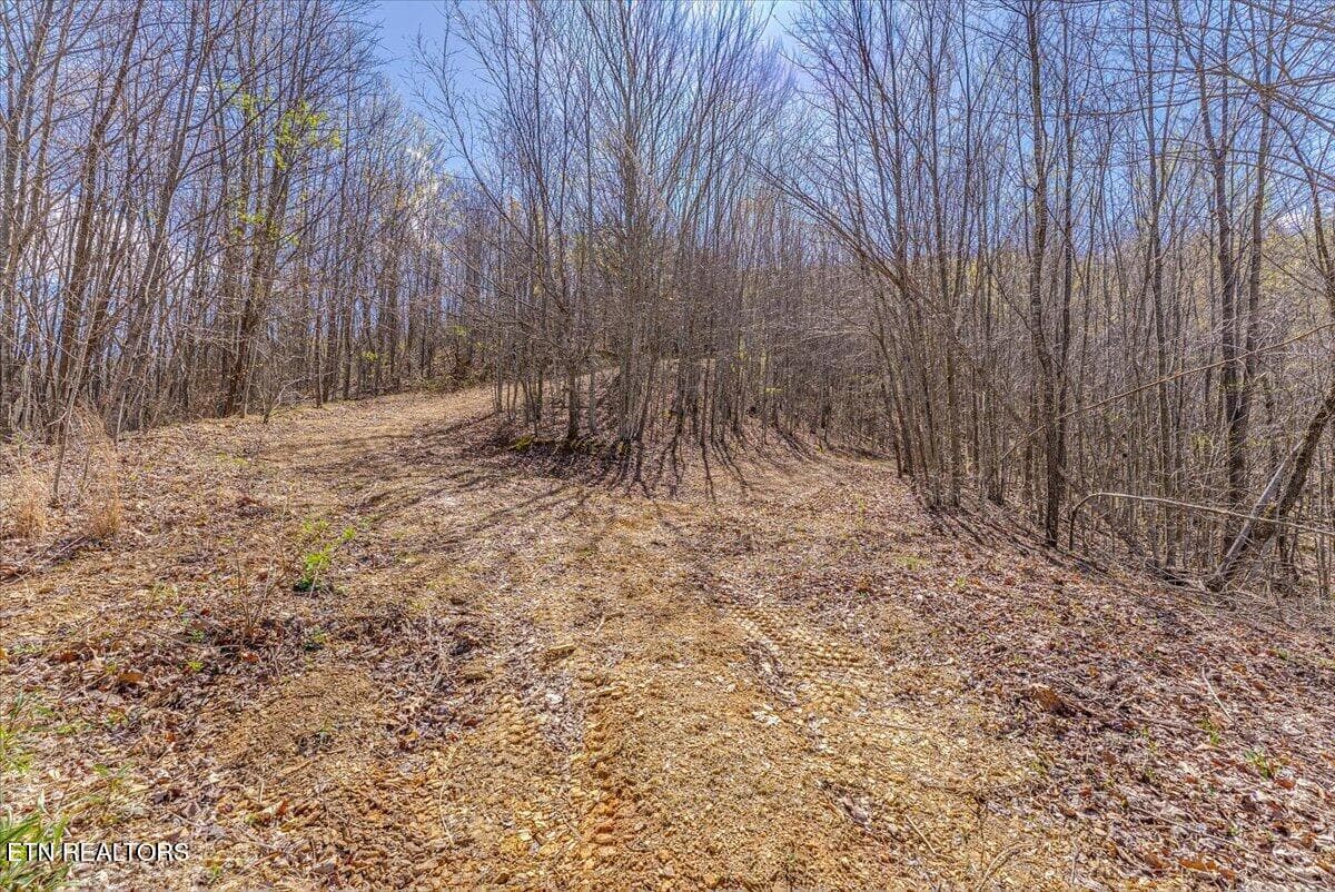 28-Entrance A3 - 422 Crooked Branch Rd, Huntsville, TN 37756