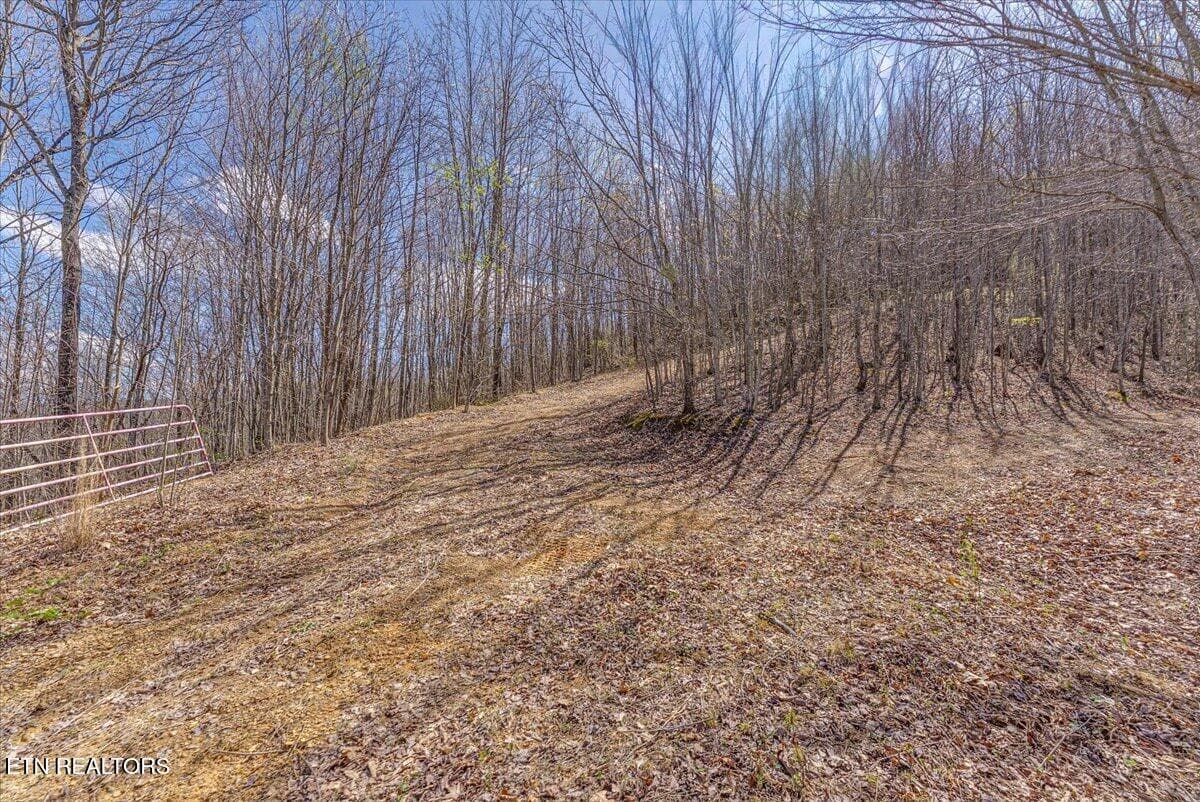 29-Entrance A4 - 422 Crooked Branch Rd, Huntsville, TN 37756