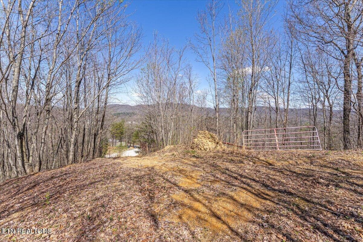 30-Entrance A5 - 422 Crooked Branch Rd, Huntsville, TN 37756
