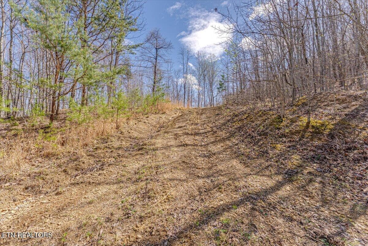 32-1st Clearing Drive A1 - 422 Crooked Branch Rd, Huntsville, TN 37756