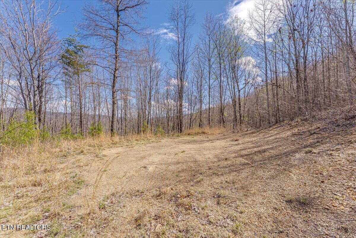 33-1st Clearing A1 - 422 Crooked Branch Rd, Huntsville, TN 37756