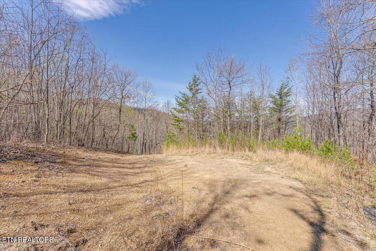 34-1st Clearing A2 - 422 Crooked Branch Rd, Huntsville, TN 37756