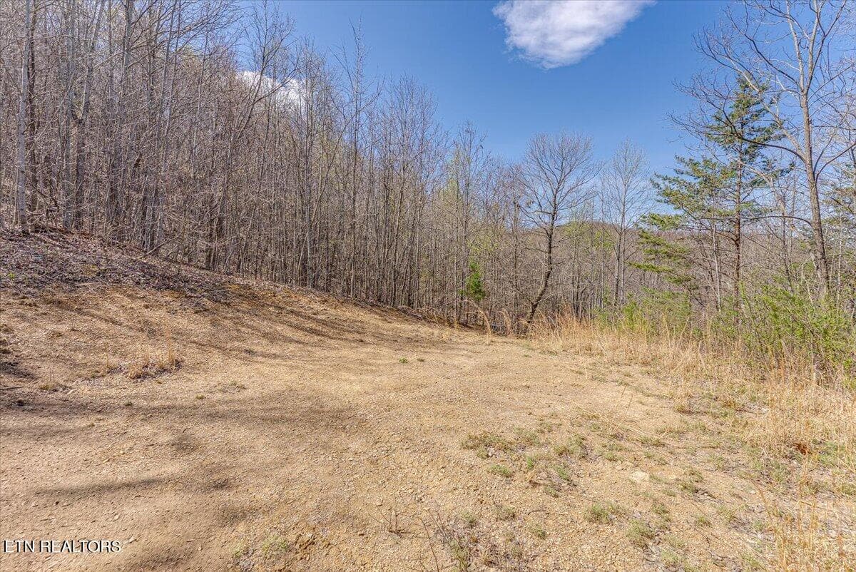 35-1st Clearing A3 - 422 Crooked Branch Rd, Huntsville, TN 37756