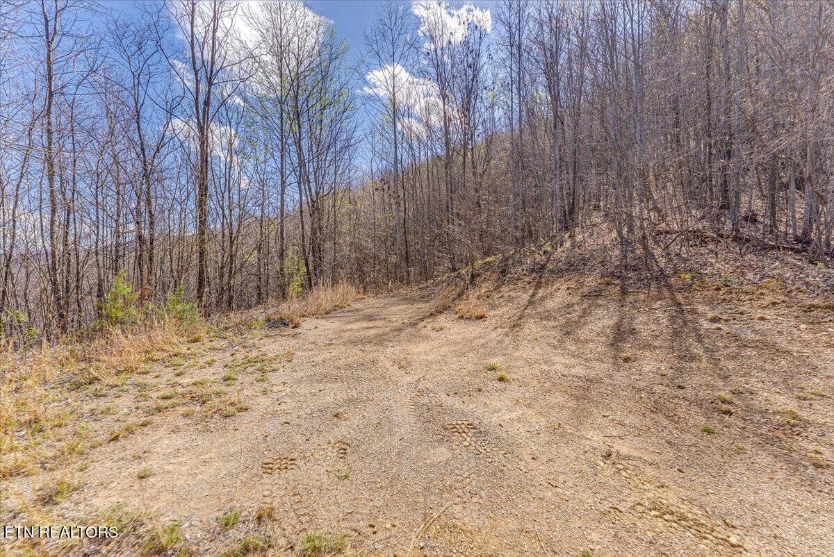 36-1st Clearing A4 - 422 Crooked Branch Rd, Huntsville, TN 37756