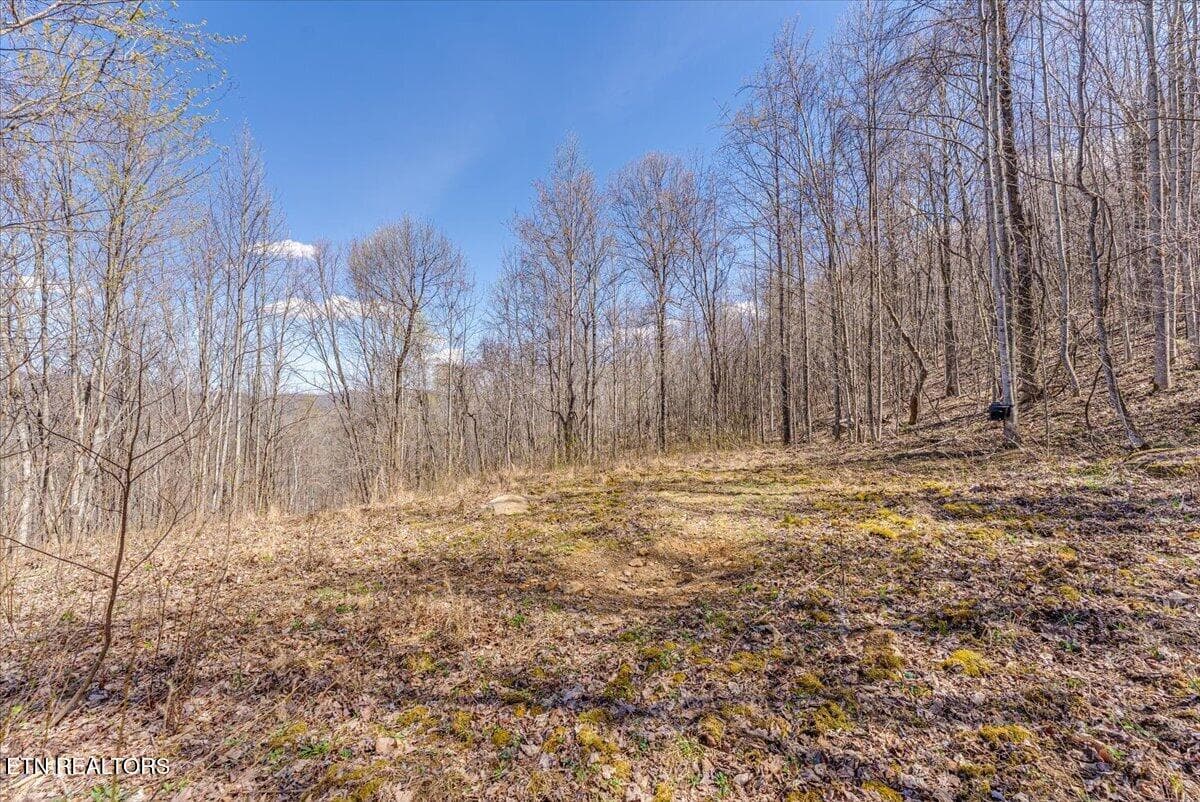 38-2nd Clearing A2 - 422 Crooked Branch Rd, Huntsville, TN 37756