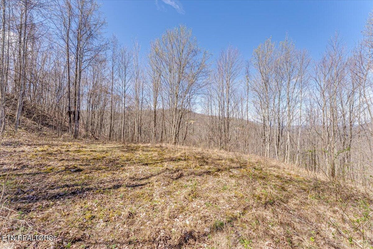 39-2nd Clearing A3 - 422 Crooked Branch Rd, Huntsville, TN 37756