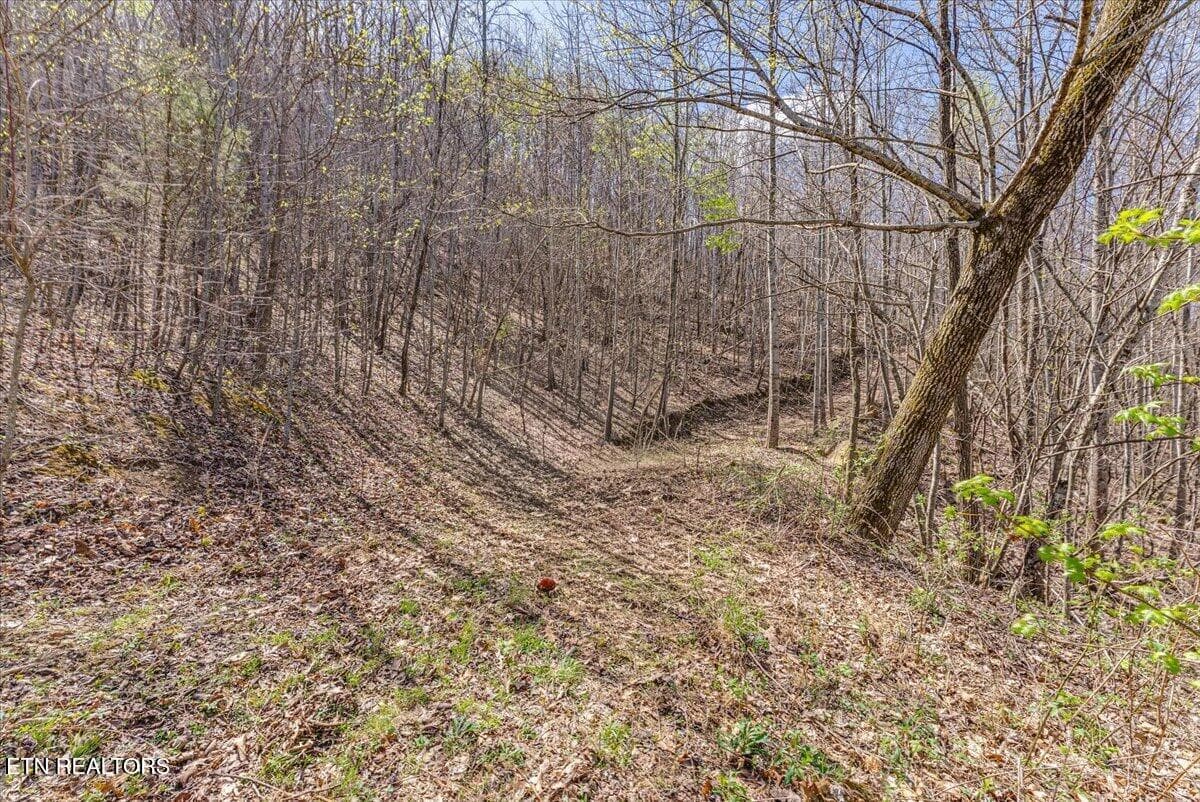 41-Trail A1 - 422 Crooked Branch Rd, Huntsville, TN 37756