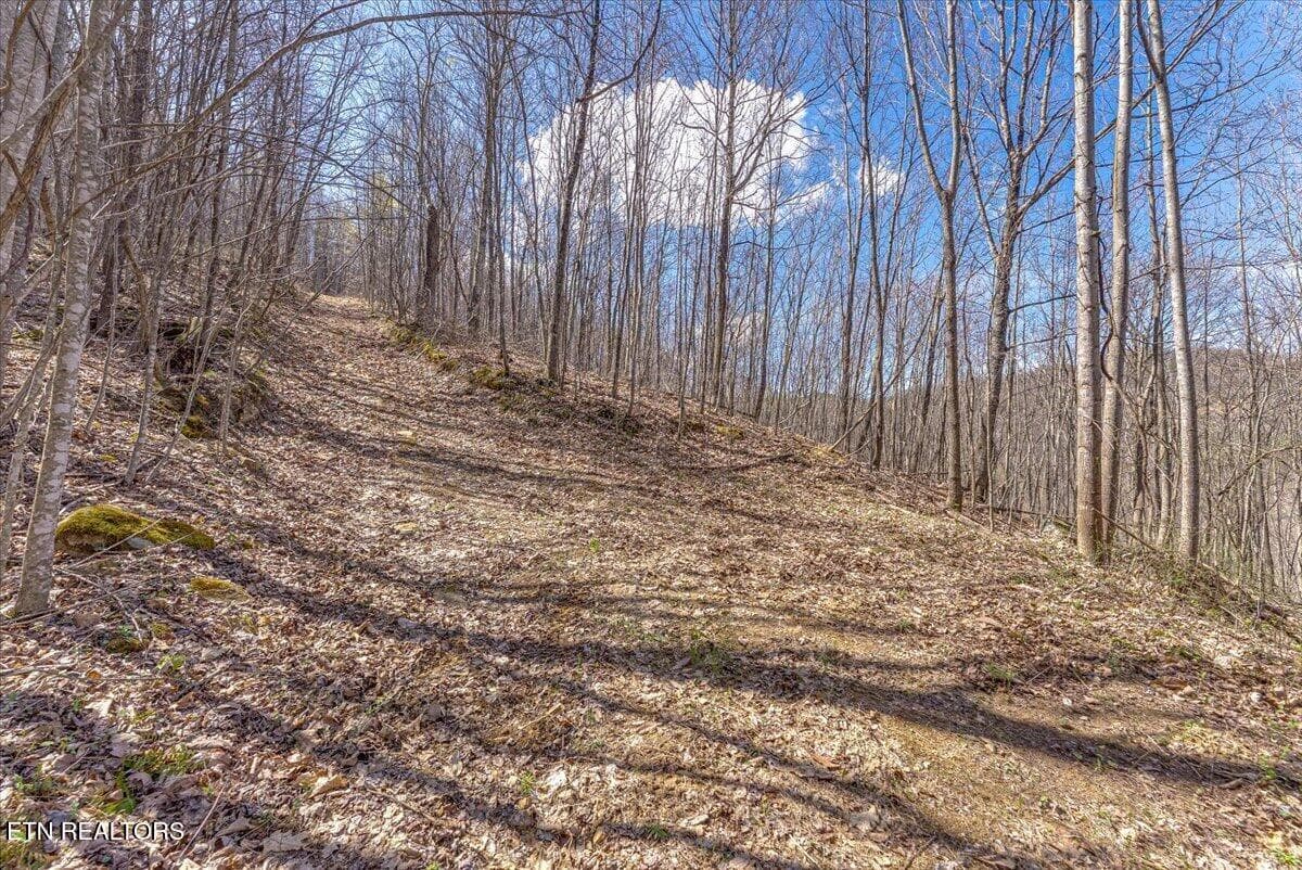 45-Trail A5 - 422 Crooked Branch Rd, Huntsville, TN 37756
