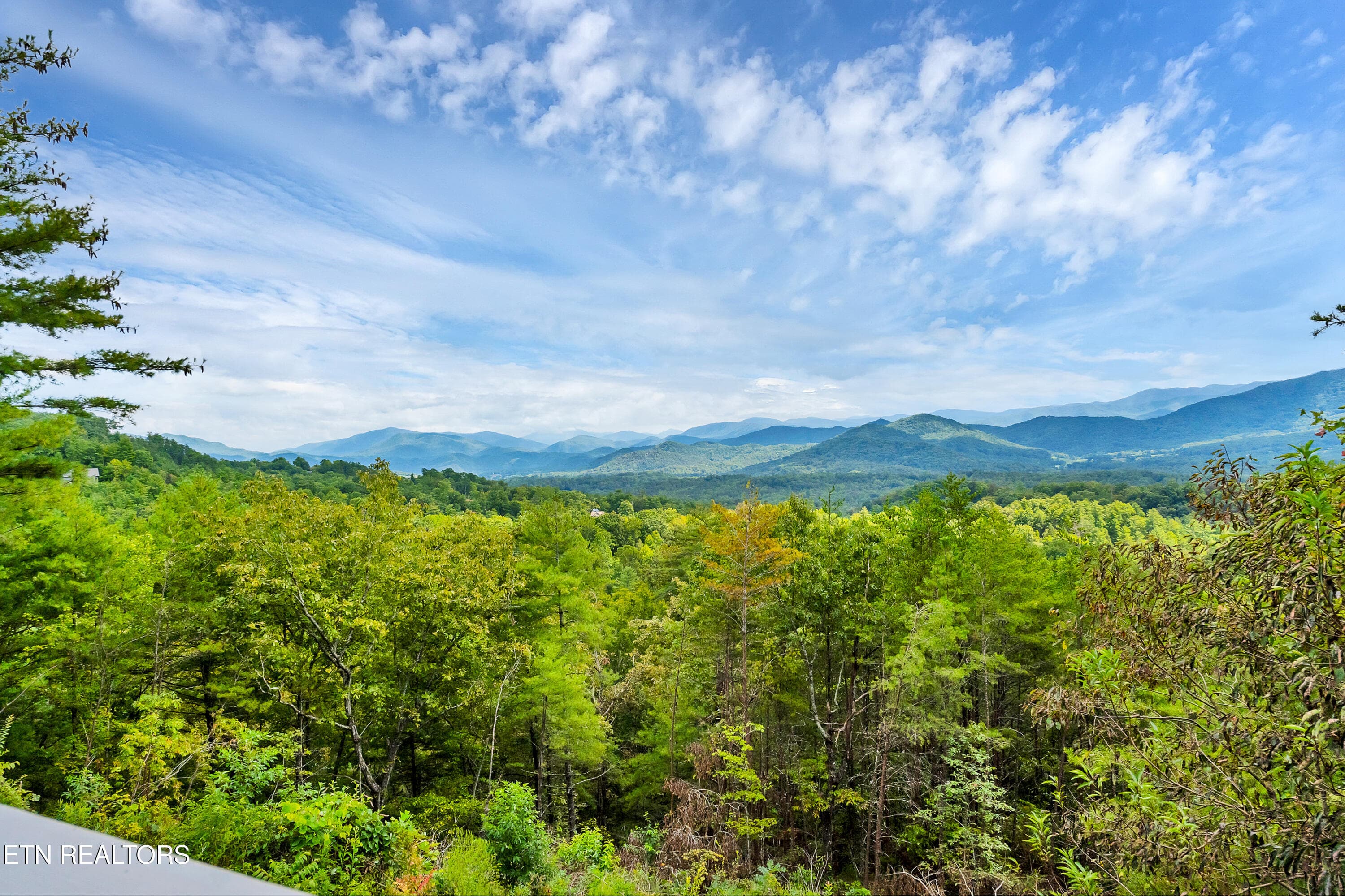 DSC03517 - 544 Nathans Nook Rd, Townsend, TN 37882