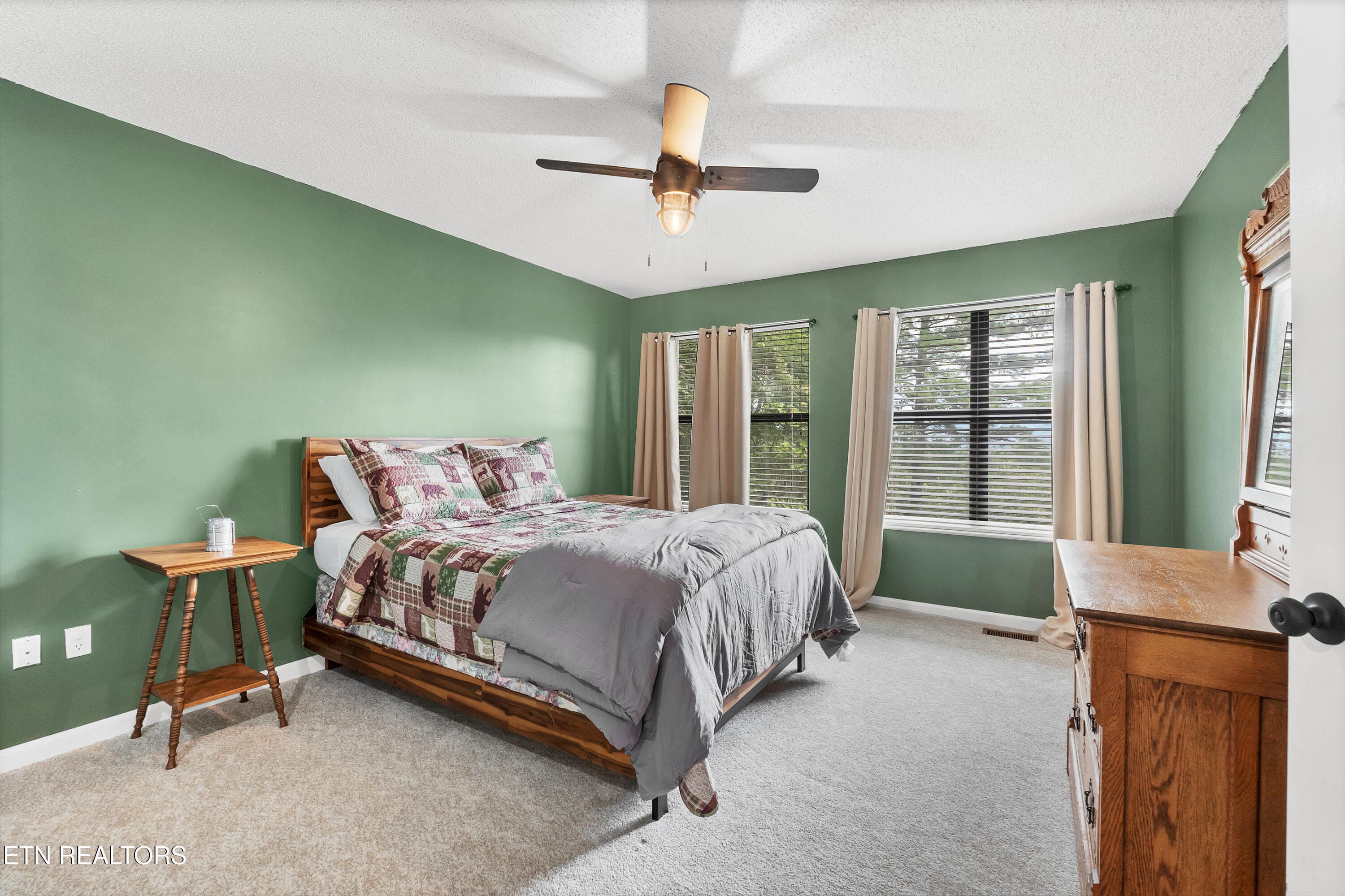 DSC03607 - 544 Nathans Nook Rd, Townsend, TN 37882