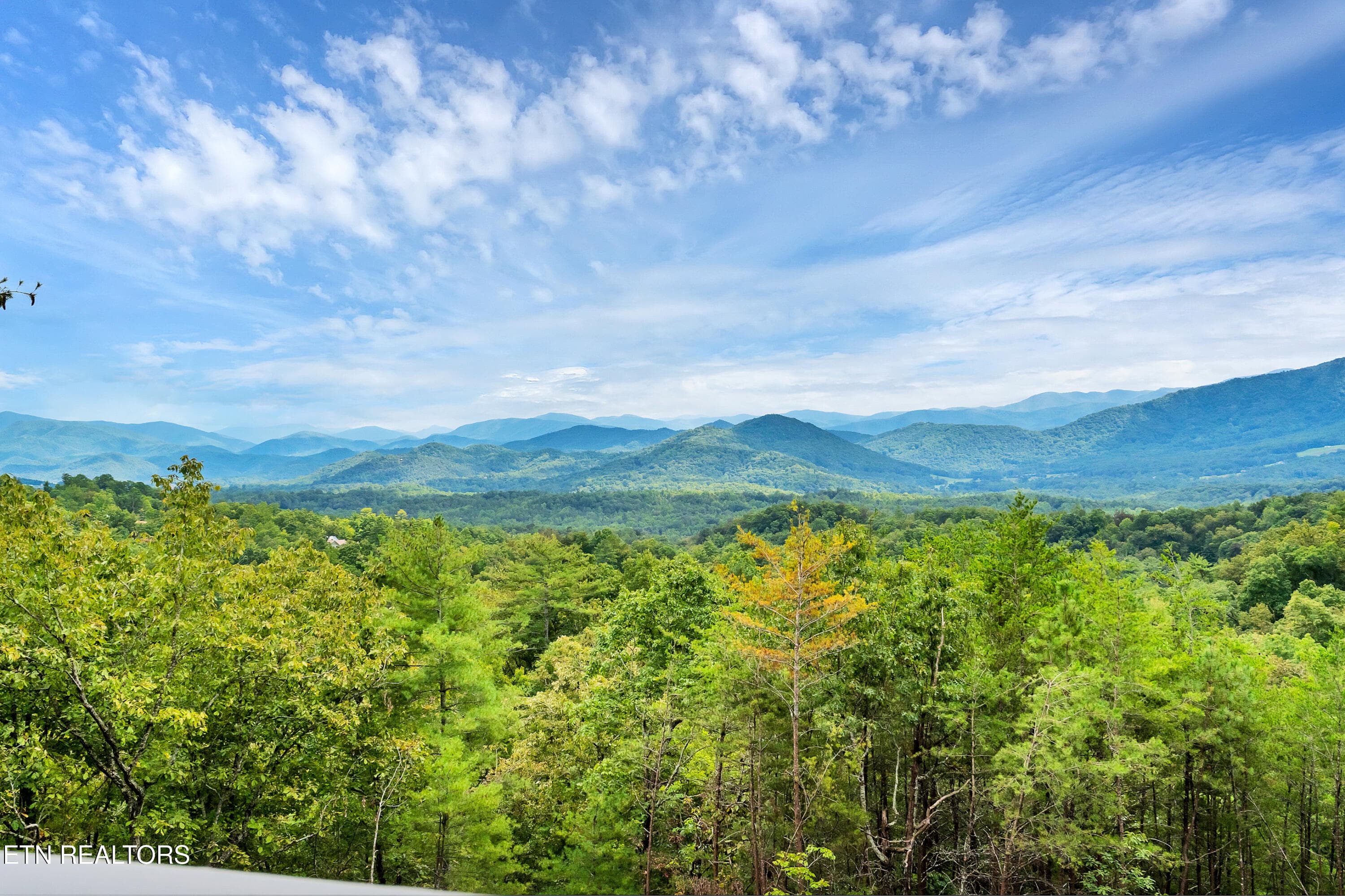 DSC03657 - 544 Nathans Nook Rd, Townsend, TN 37882