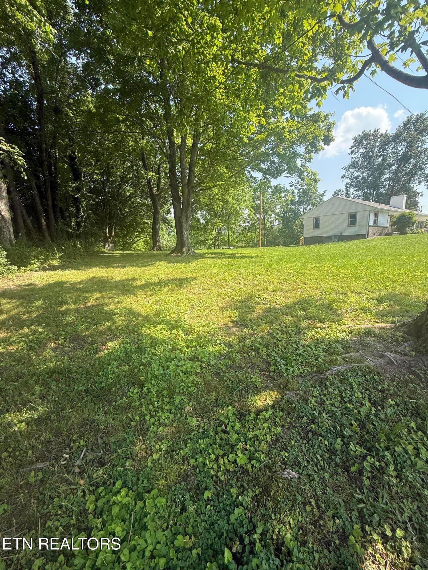 IMG_0878 - 1184 Davis Chapel Rd, LaFollette, TN 37766