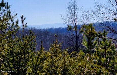 Lot 31 Pic 2 - 194 Forest Ridge Lane, Greenback, TN 37742