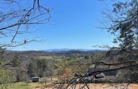 Lot 31 Pic 3 - 194 Forest Ridge Lane, Greenback, TN 37742