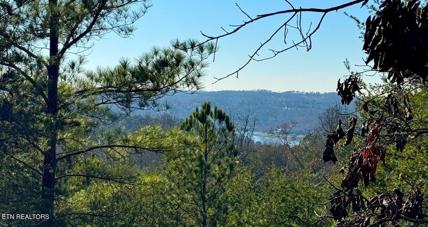 River Cove Pic 1 - 194 Forest Ridge Lane, Greenback, TN 37742