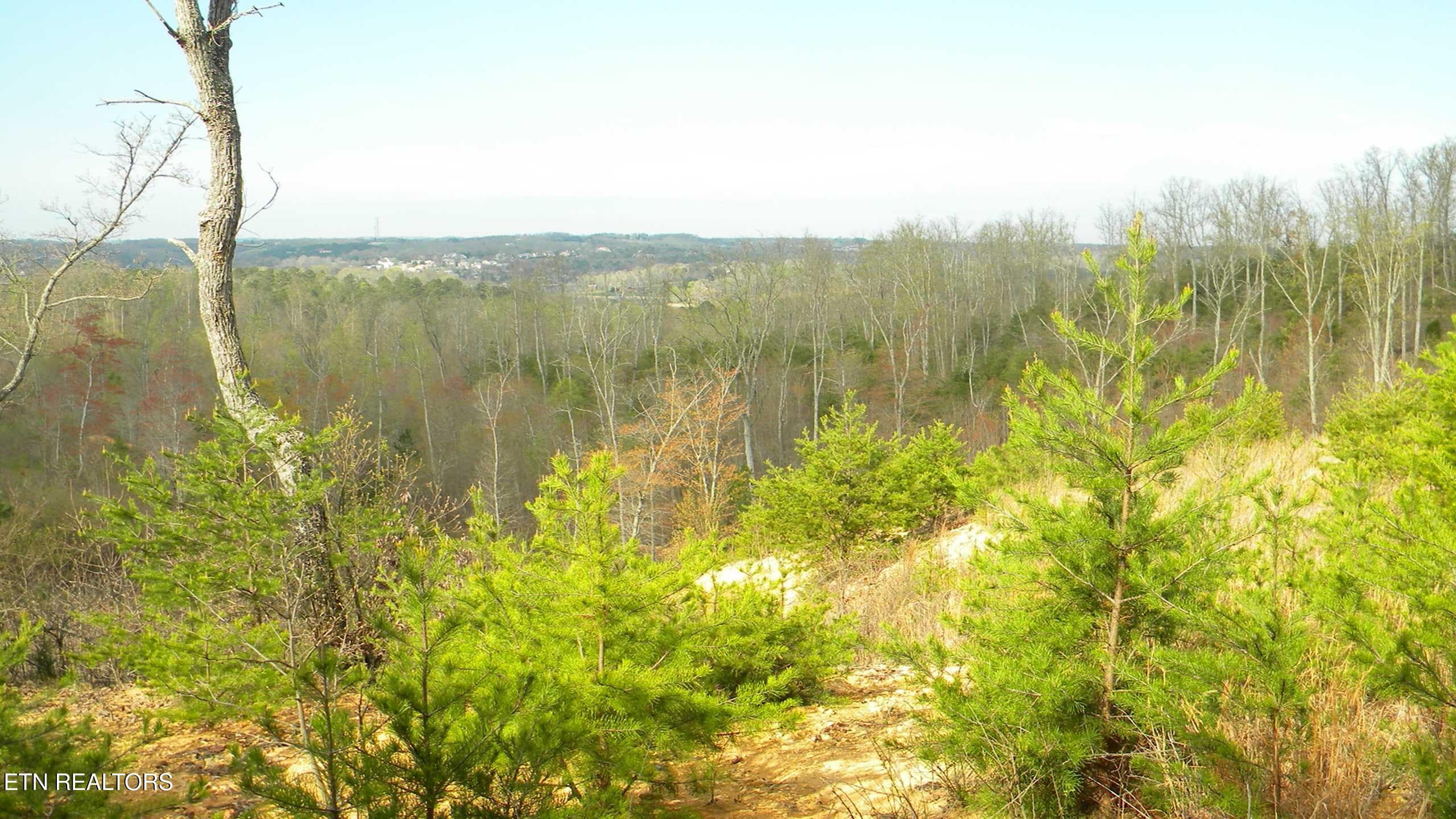 River Cove Pic 5 - 194 Forest Ridge Lane, Greenback, TN 37742