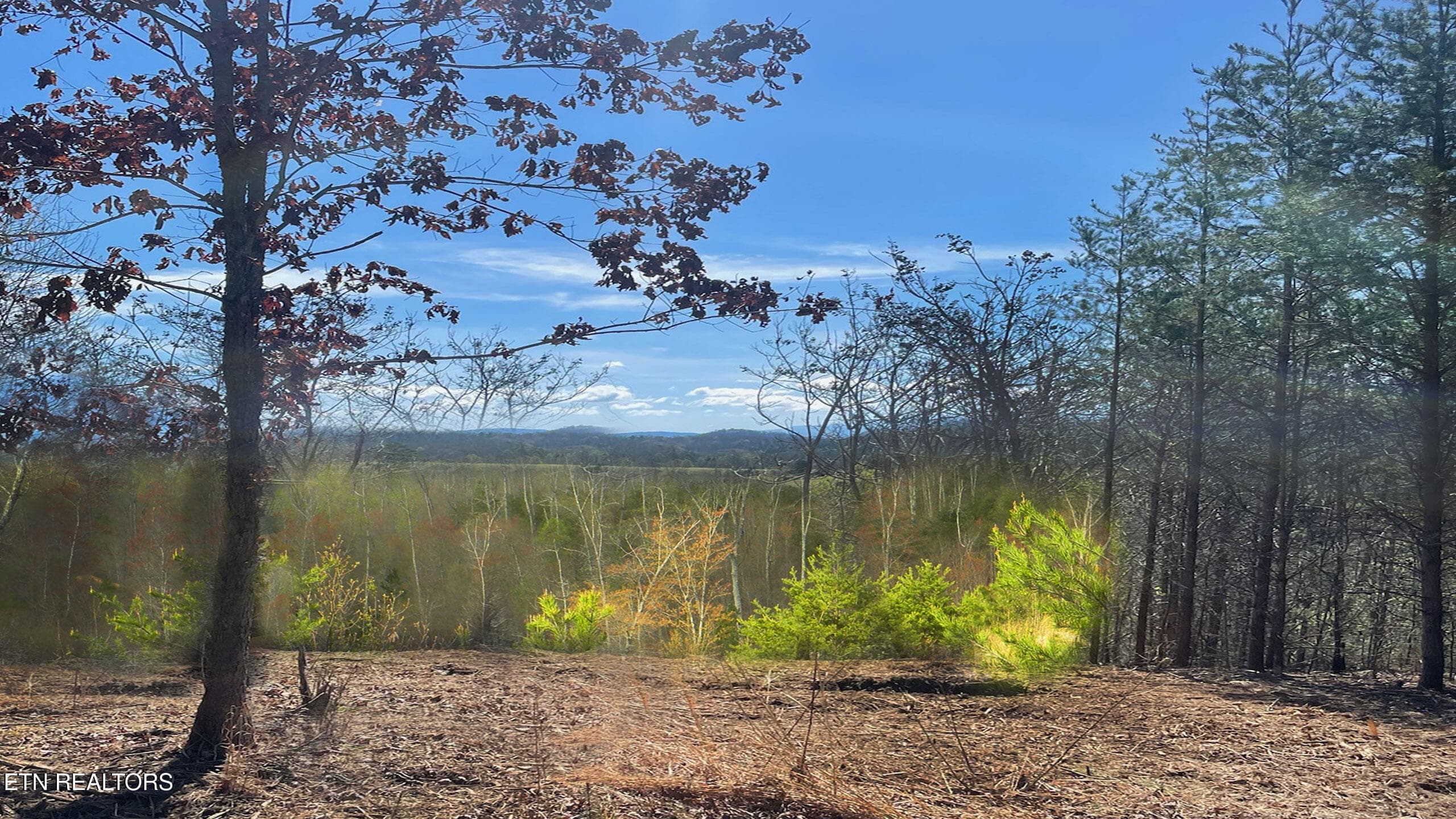 River Cove Pic 6 - 194 Forest Ridge Lane, Greenback, TN 37742