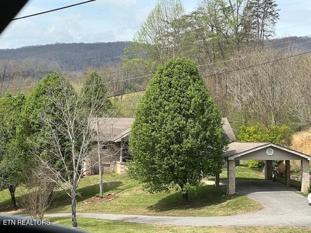IMG_1225 - 200 Simpson Lane, Wallins, KY 40873
