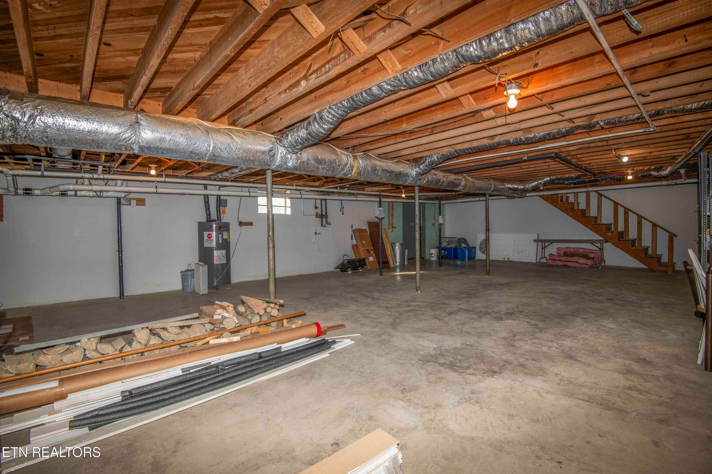 basement_1 - 10732 Richland Rd, Mascot, TN 37806