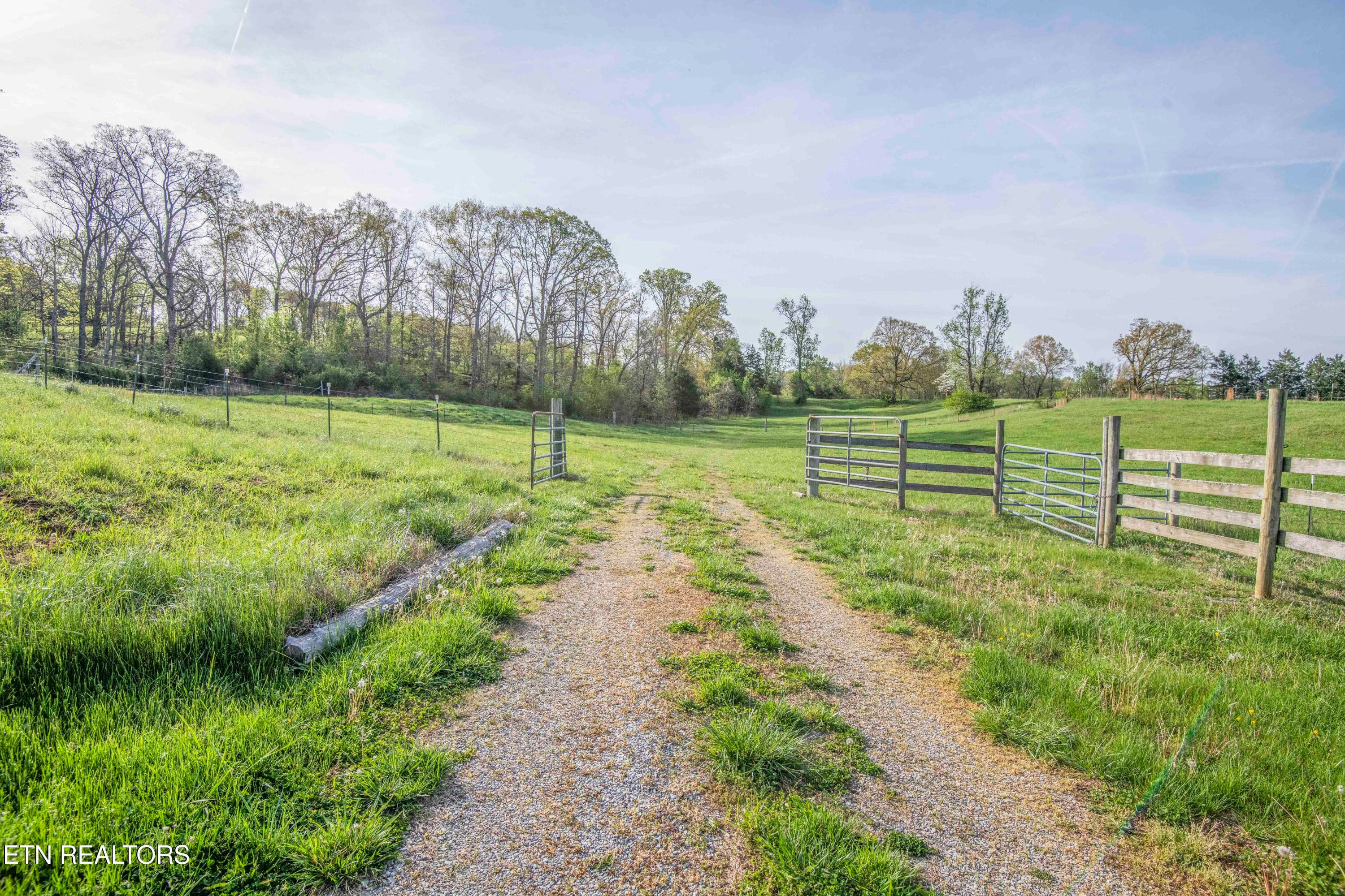 yard 6_1 - 10732 Richland Rd, Mascot, TN 37806