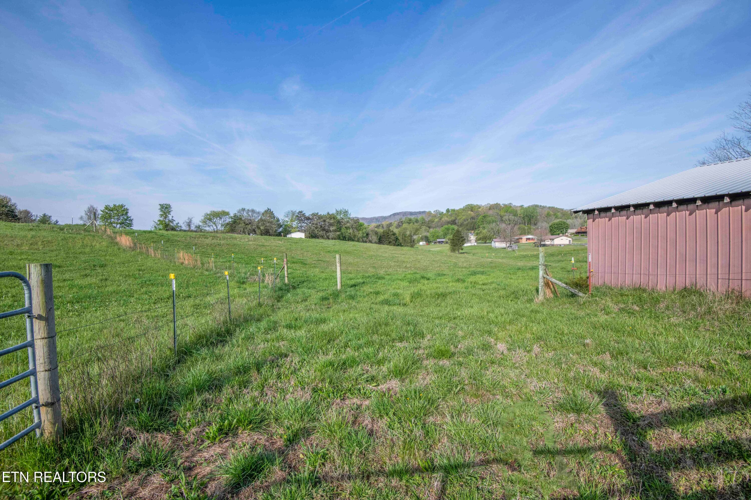 yard 1_1 - 10732 Richland Rd, Mascot, TN 37806