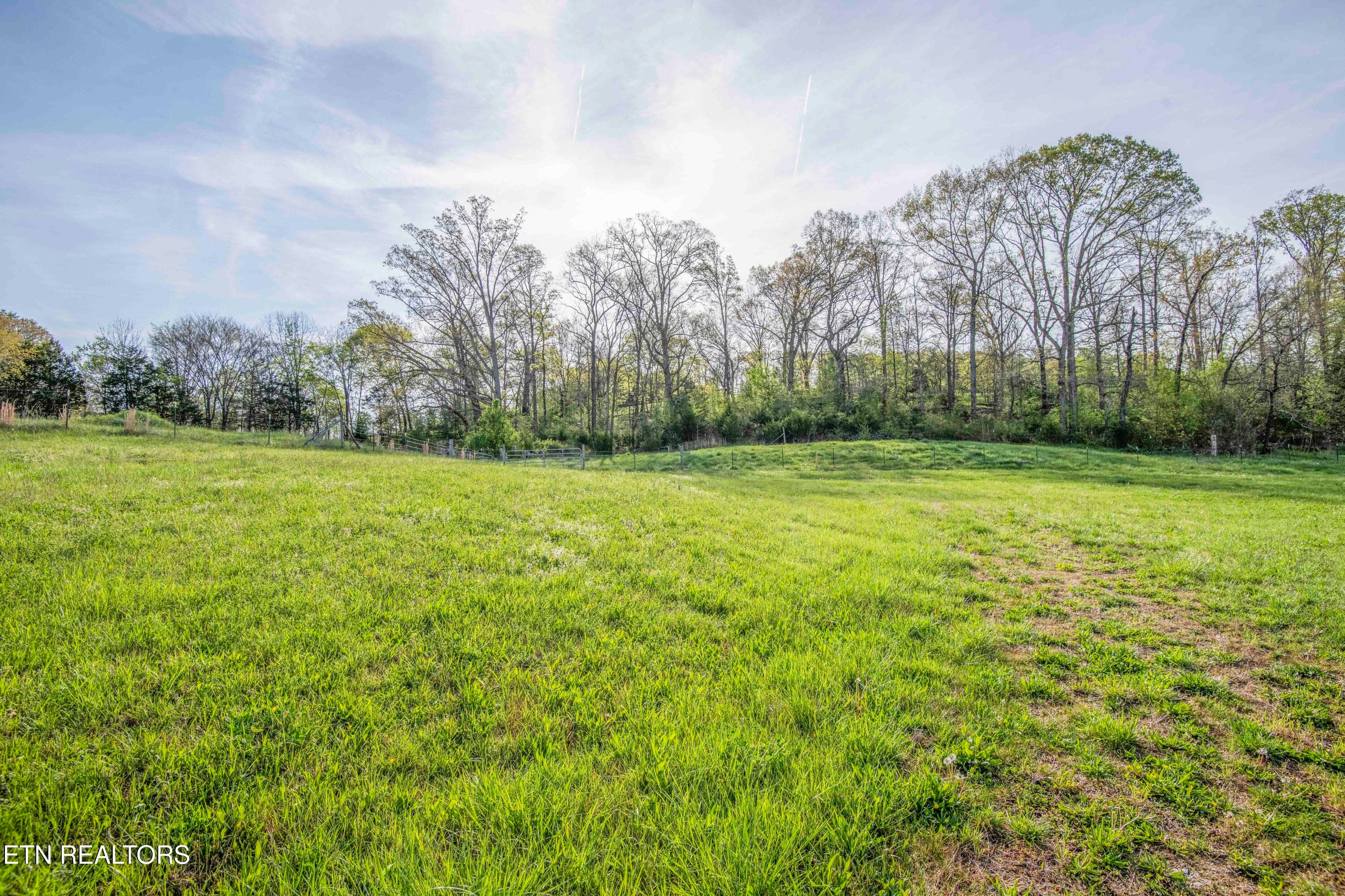 yard 3_1 - 10732 Richland Rd, Mascot, TN 37806