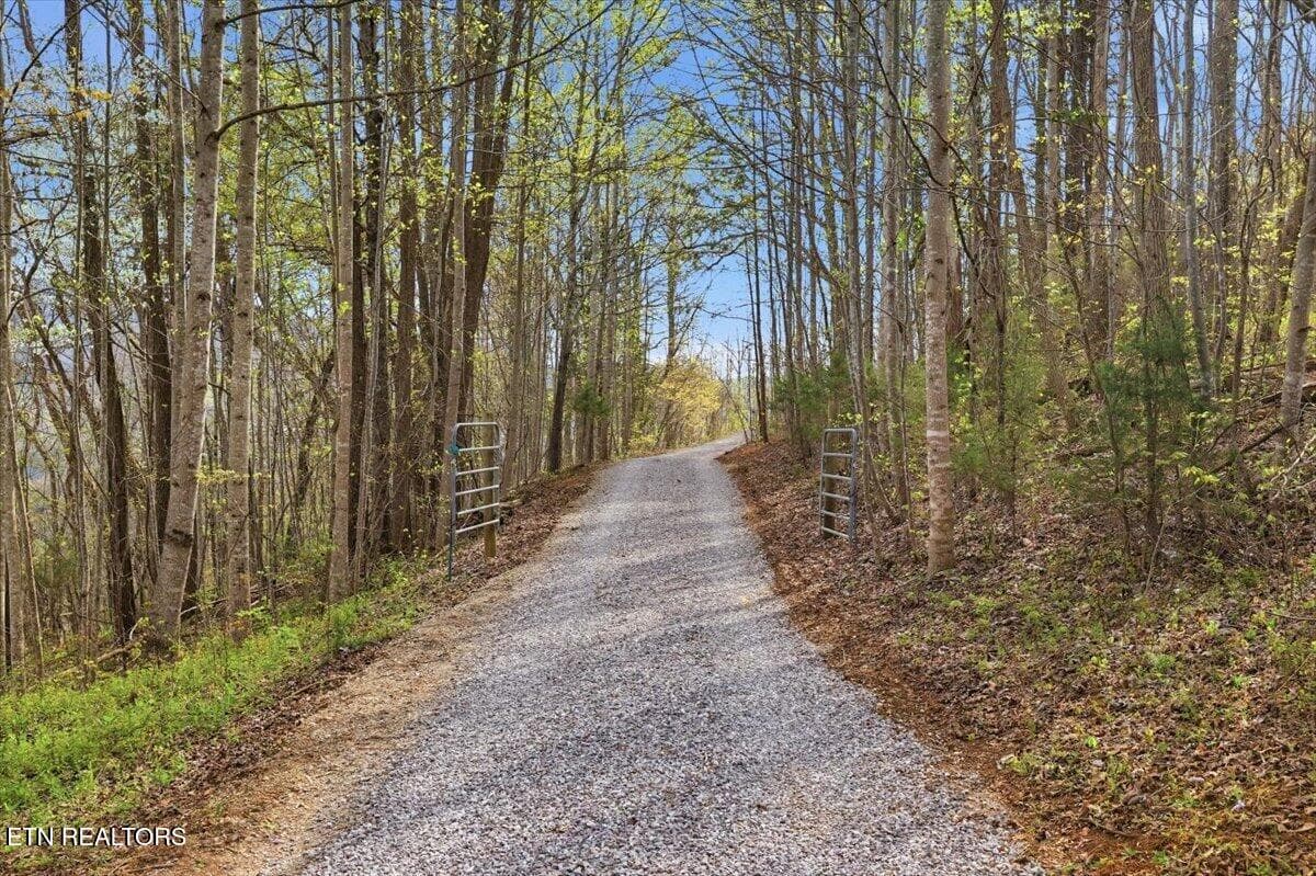 39-542_Jackson_Hollow_Rd_015 - 542 Jackson Hollow Rd, Thorn Hill, TN 37881, Thorn Hill