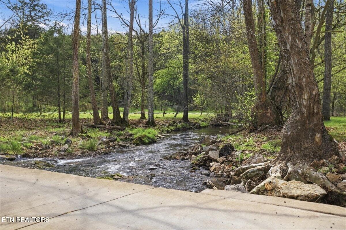 52-542_Jackson_Hollow_Rd_052 - 542 Jackson Hollow Rd, Thorn Hill, TN 37881, Thorn Hill