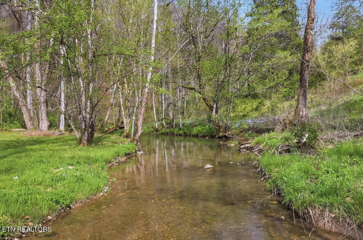 53-542_Jackson_Hollow_Rd_053 - 542 Jackson Hollow Rd, Thorn Hill, TN 37881, Thorn Hill