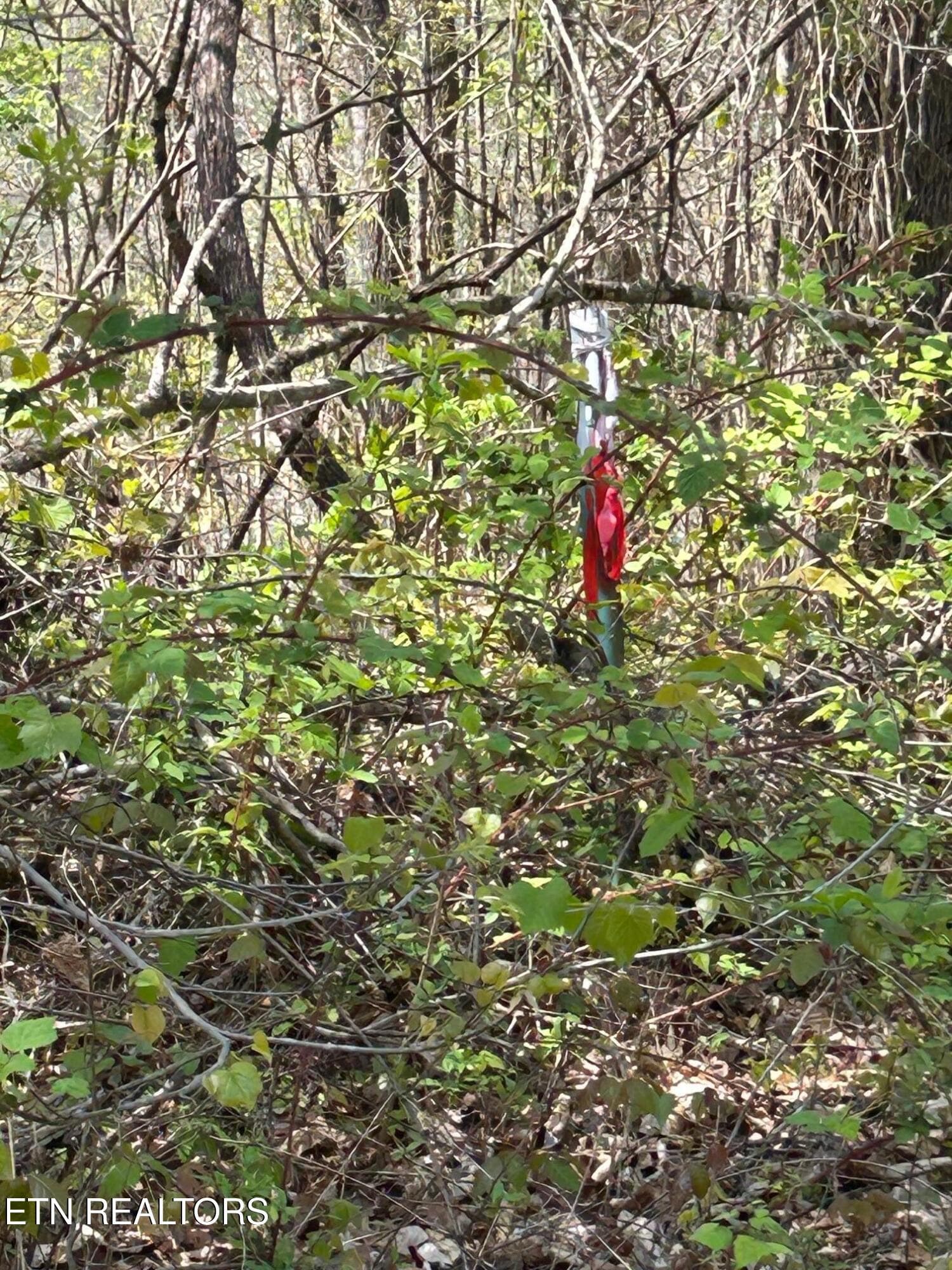 lot 27 Jones Ridge Rd, Speedwell, TN 37870