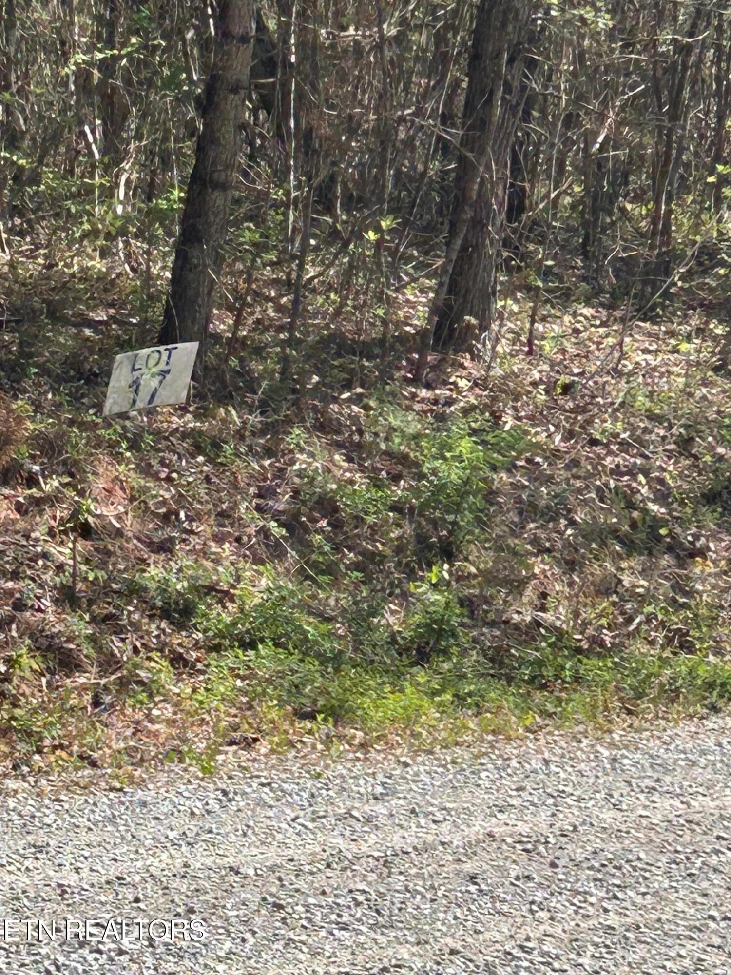 IMG_1654 - lot 27 Jones Ridge Rd, Speedwell, TN 37870