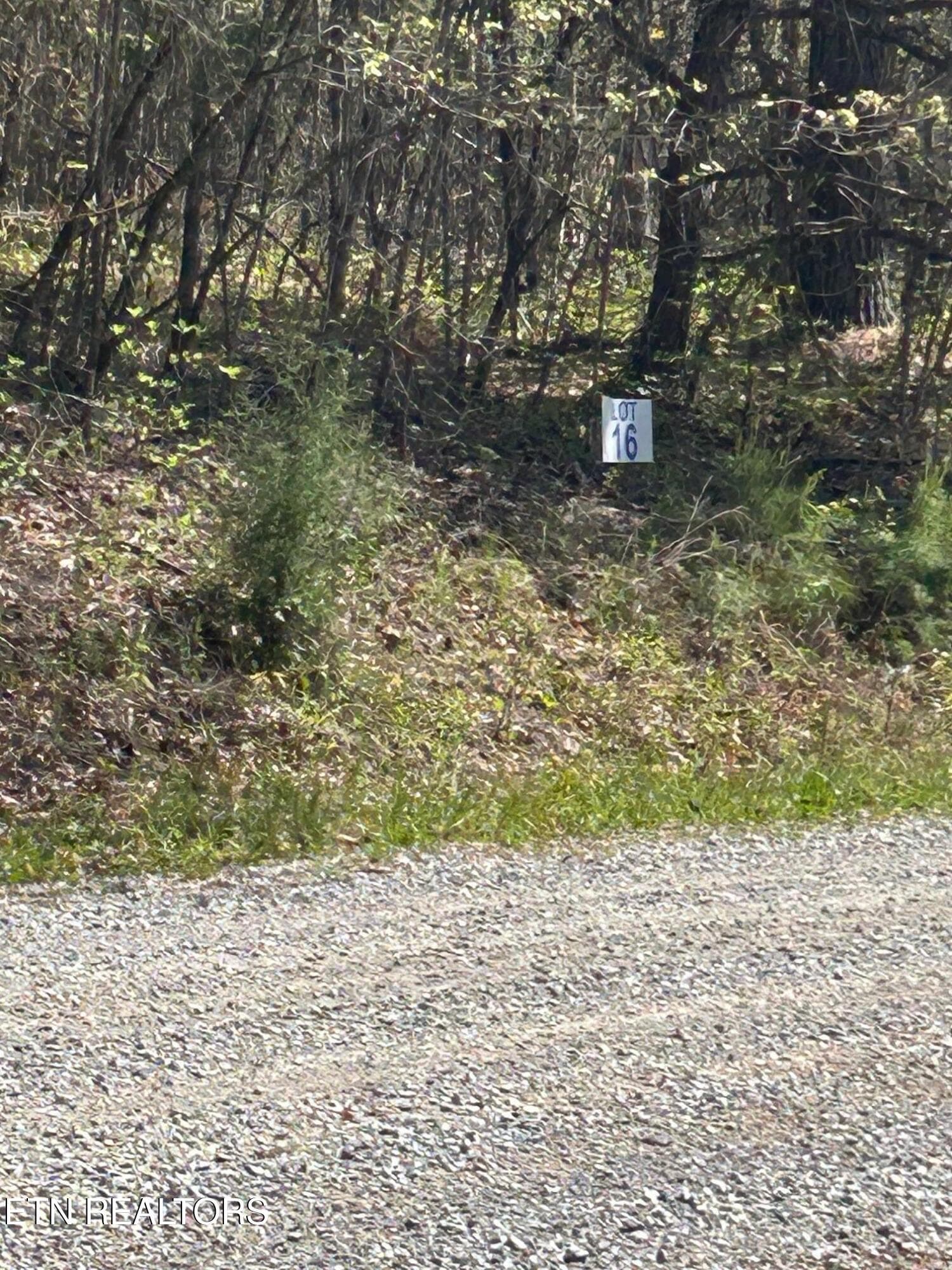 IMG_1655 - lot 27 Jones Ridge Rd, Speedwell, TN 37870