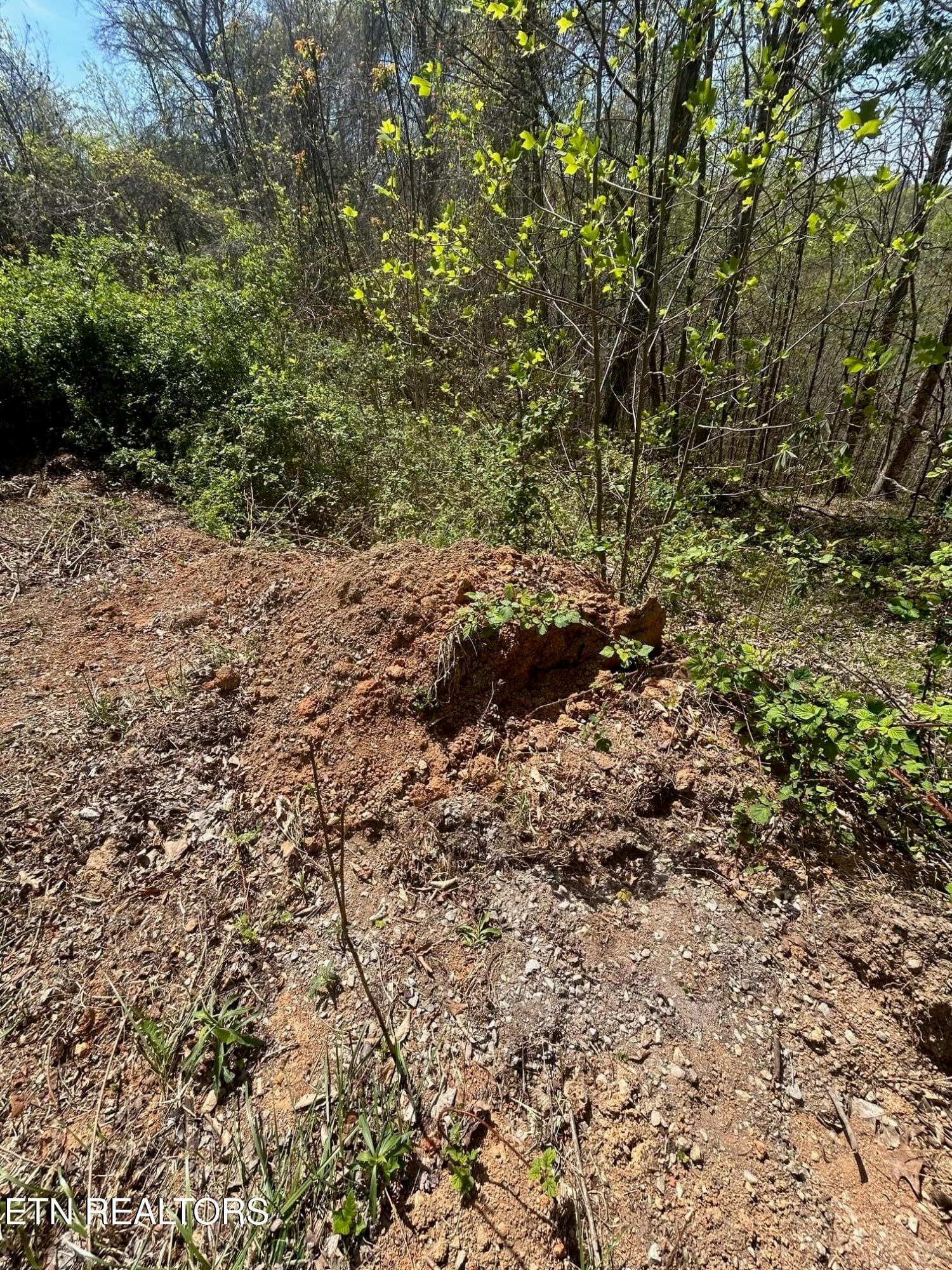 IMG_1657 - lot 27 Jones Ridge Rd, Speedwell, TN 37870