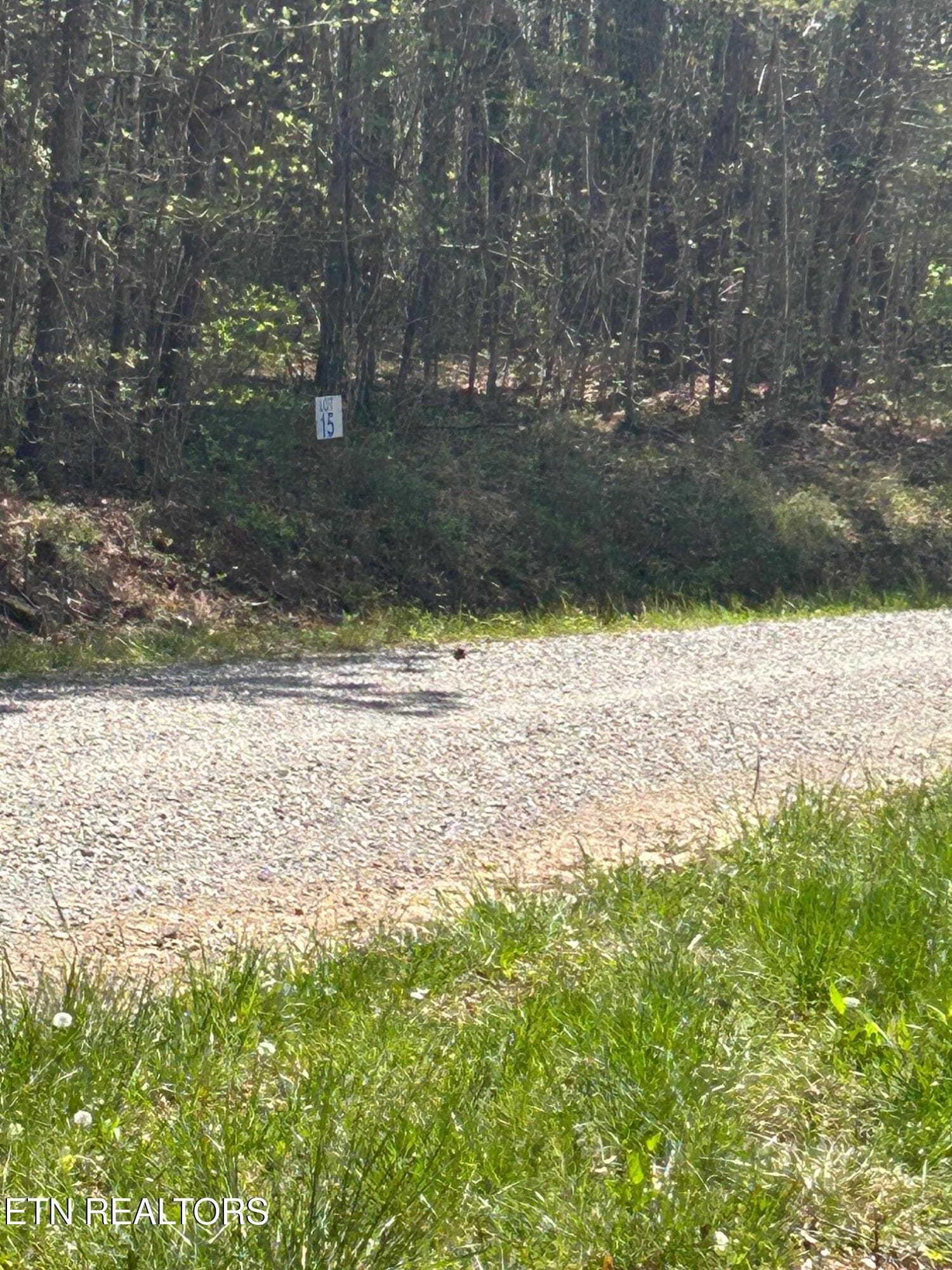 IMG_1659 - lot 27 Jones Ridge Rd, Speedwell, TN 37870